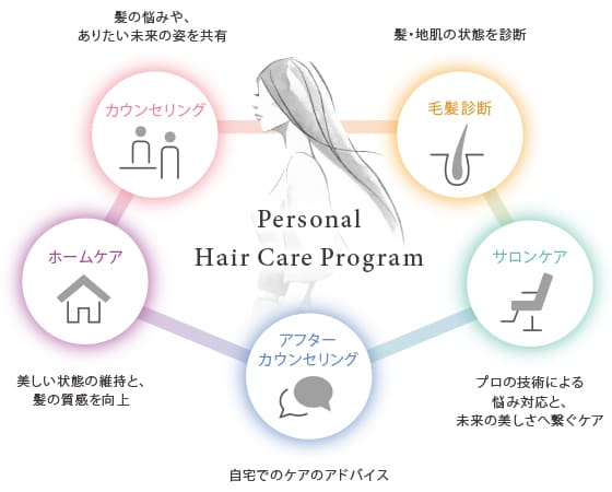 Personal Hair Care Program