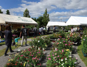 宝塚植木まつり3